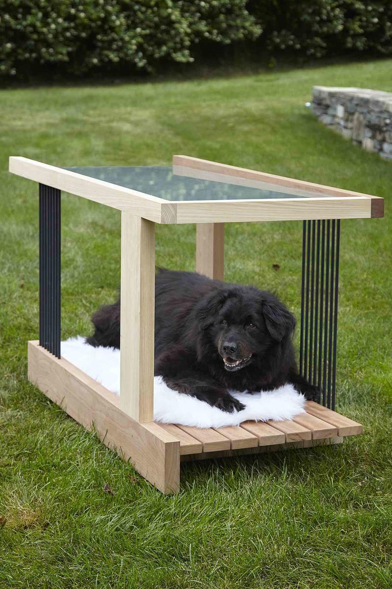 Hamptons architects build houses fit for dogs