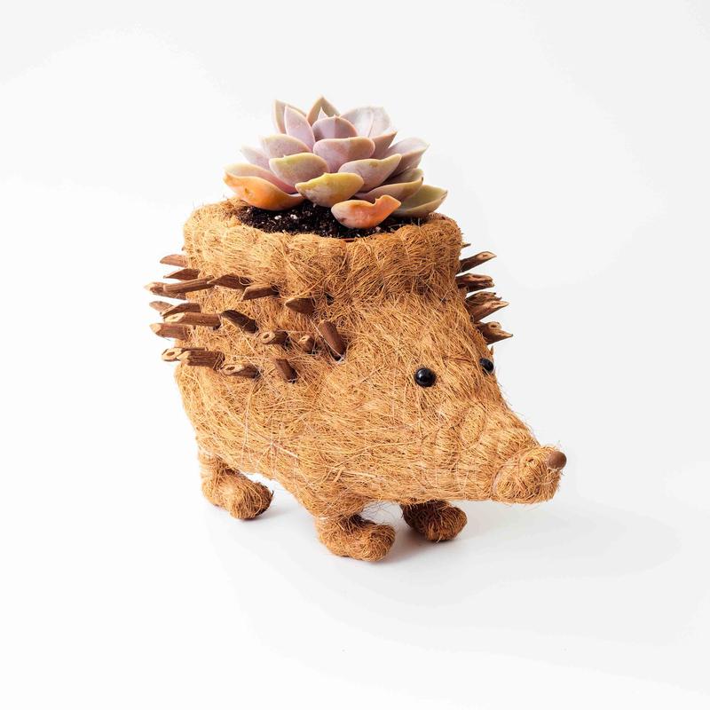 Hector the Hedgehog an eco-friendly planter from LIKHÂ. Photo courtesy NY NOW.