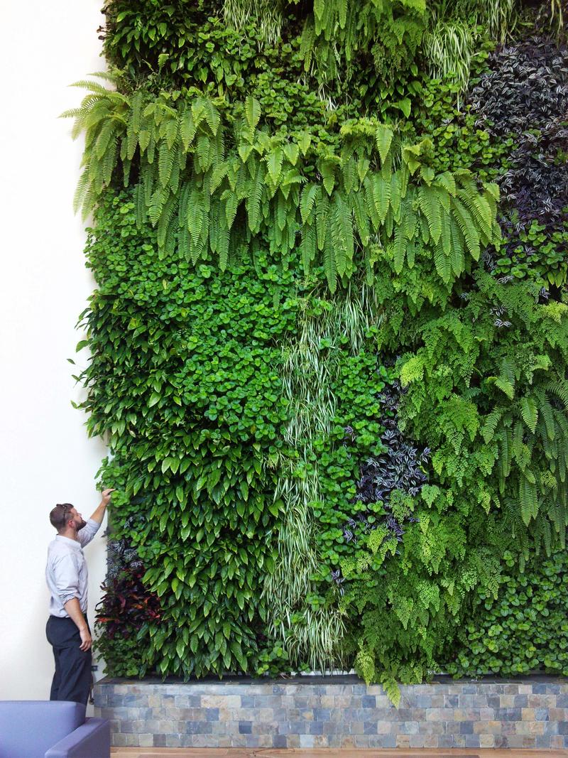 One of Sagegreenlife's living walls.