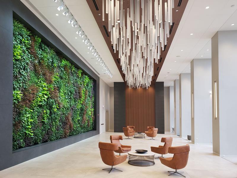 A living wall from Sagegreenlife
