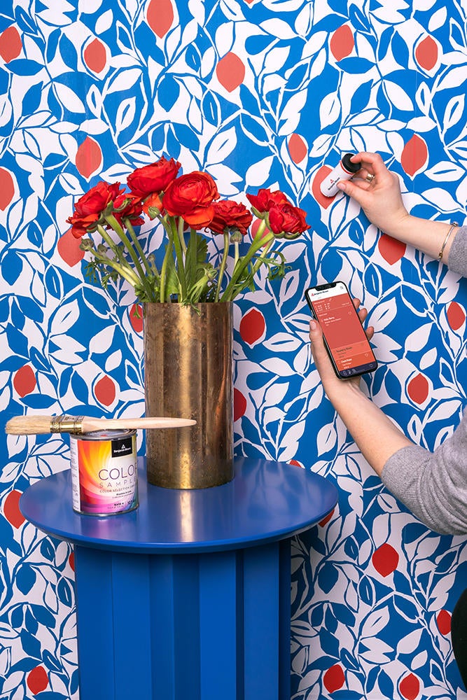 Benjamin Moore's ColorReader lets designers color match on the go