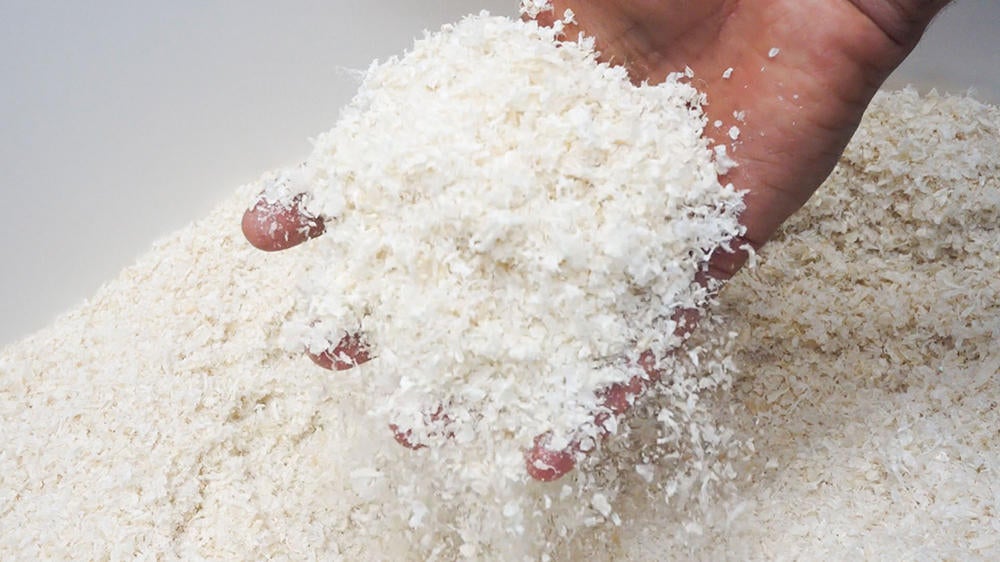 Chitosan in its powdered form