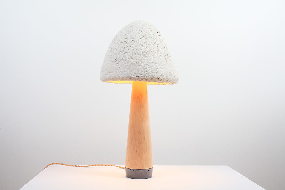 This designer is turning mushrooms into truly sustainable lighting solutions