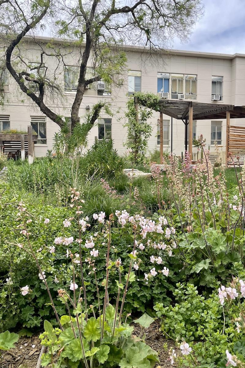 This landscape company is helping boost biodiversity, one yard at a time