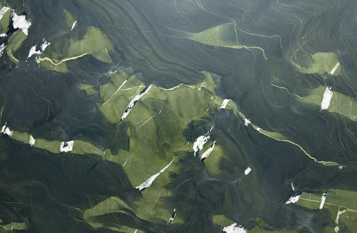 Dani Arps’s inaugural furniture line, lively new looks from Graham & Brown, and more