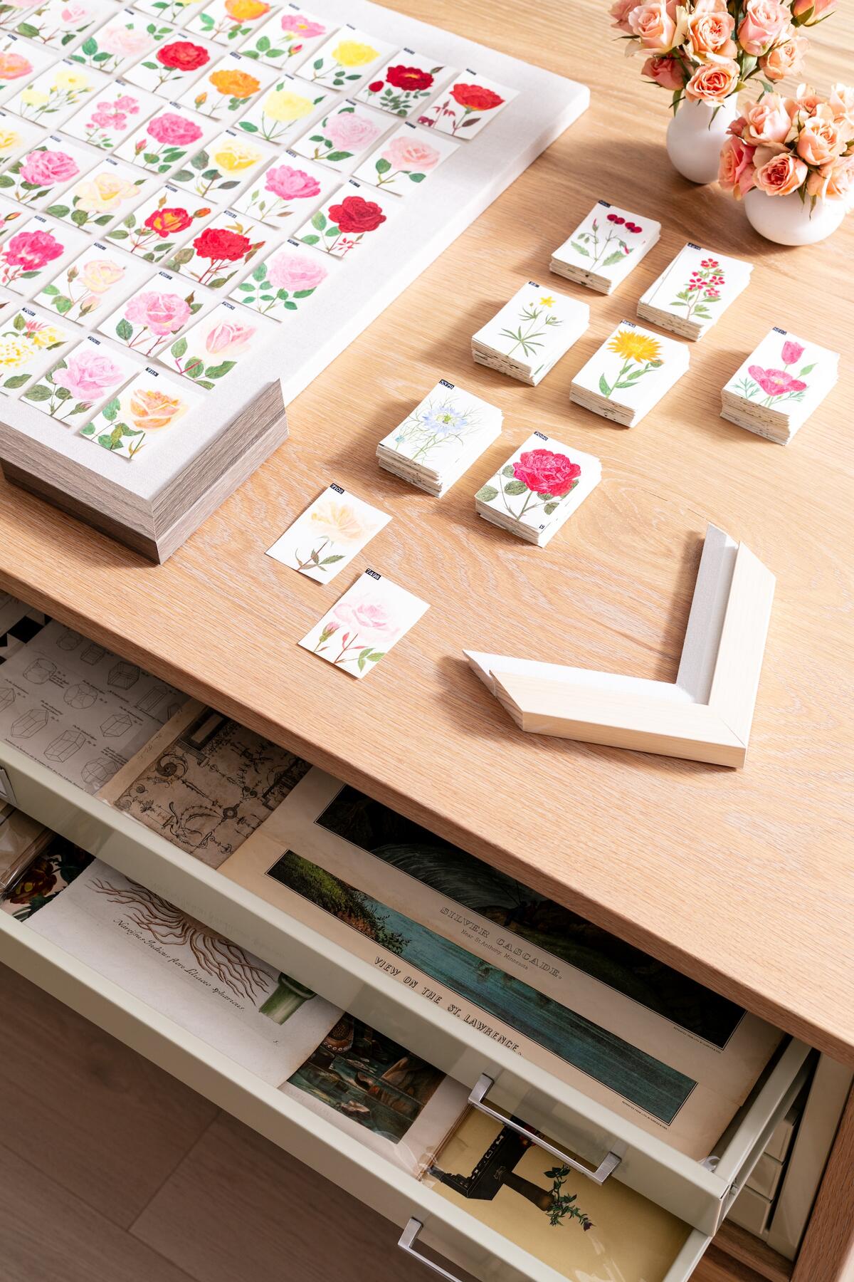 Natural Curiosities unveils a jewel box showroom in New York, Janus et Cie revamps its LA outpost, and more