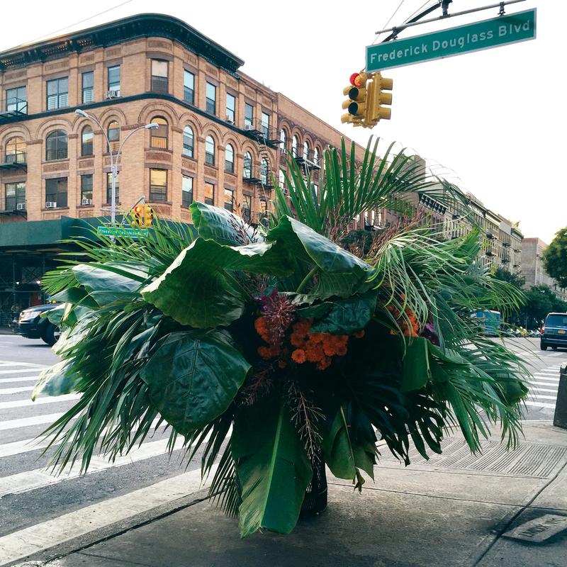 How this West Coast horticulturist became a New York street artist and designer