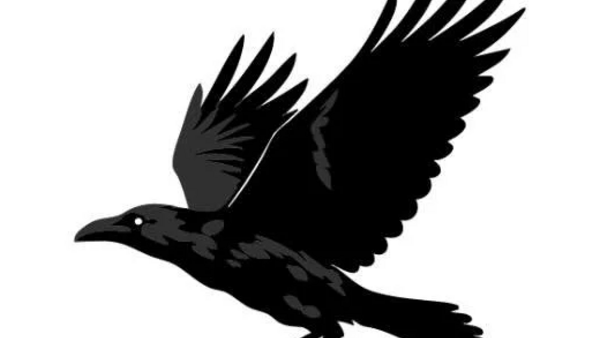 Raven Injury Law, P.C.