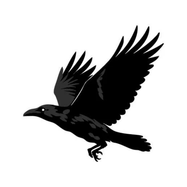 Raven Injury Law, P.C.