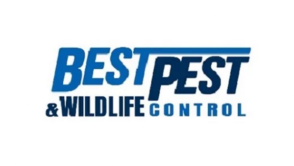 Best Pest & Wildlife Control