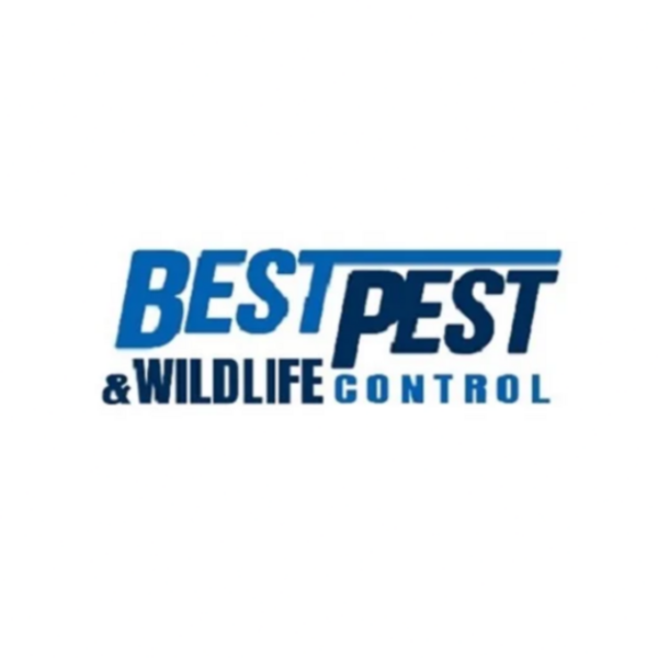 Best Pest & Wildlife Control