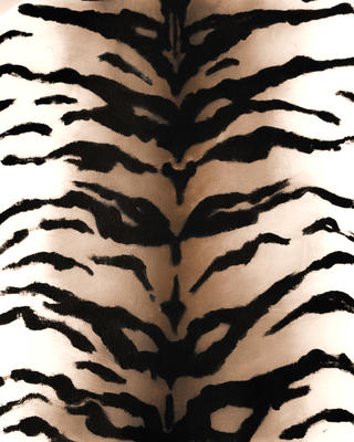 Elliot's Tiger Wallpaper