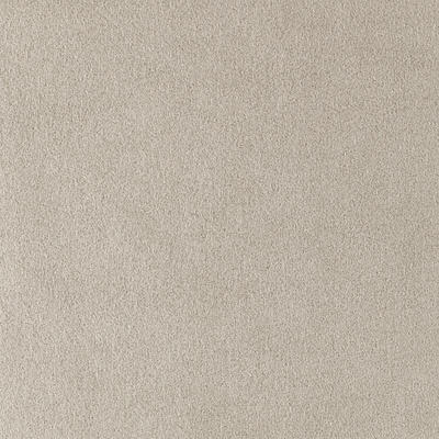 Ultrasuede Putty #3497