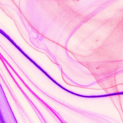 Lavender Ribbon from the Soft Watercolor collection