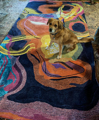Rug based on artwork by Adria Arch: hand-tufted. Installation shot