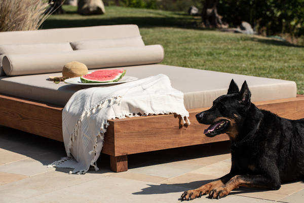 Chief at the foot of the Ojai daybed