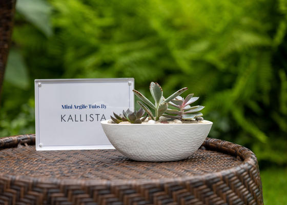 Miniature displays of Kallista’s Argile freestanding bathtub served as charming succulent planters.