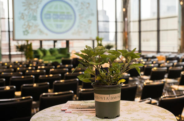 The event included greenery from Monrovia, a sponsor of the summit