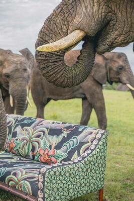 Limited-edition Thanda sofa