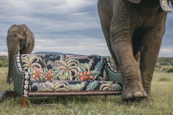 Limited-edition Thanda sofa