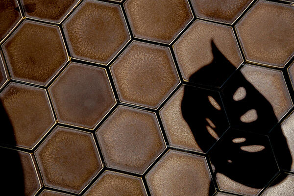 Godai series glazed porcelain concave hex in Metallic Bronze from the Zen+Clay collection, Heritage Tile