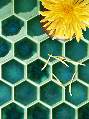 Godai series glazed porcelain concave hex in Sea Green from the Zen+Clay collection, Heritage Tile