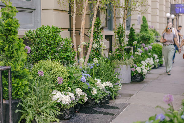 The Hollander Design team transformed the sidewalk and entrance into a lush springtime urban garden
