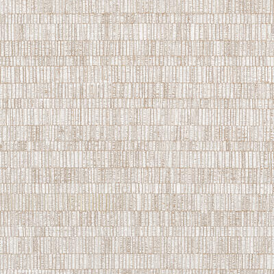 Yakisugi wallcovering