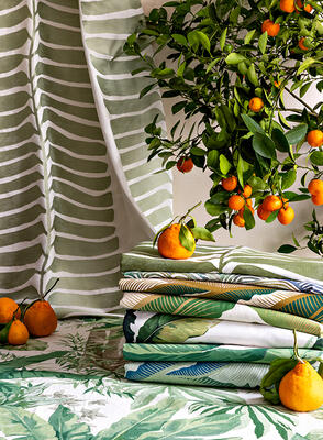 Rio Vine in Sage sets the backdrop for Casa Botanica’s rich and bold patterns