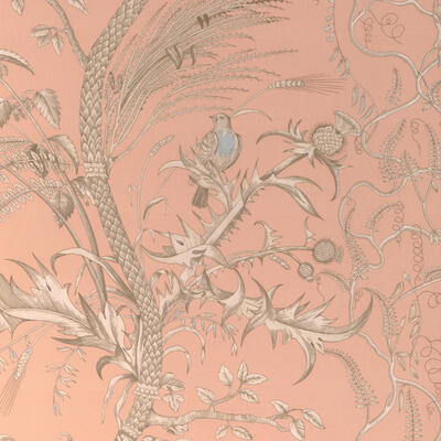 Bird and Thistle II in Peach