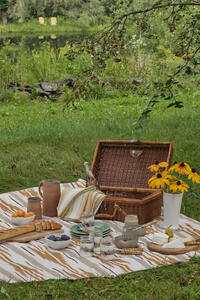 Pattern play for an outdoor picnic