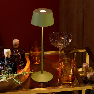 Scoon cordless table lamp in Watercress