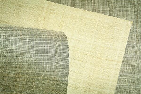 Abaca wallcovering WAB 09 B