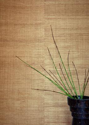 Abaca wallcovering WAB 11 10 A
