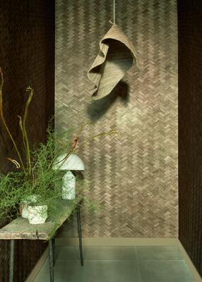 Bois Tresse Nature Sauvage WBO 08 72