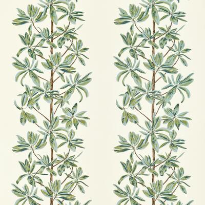 Mangrove Tree fabric