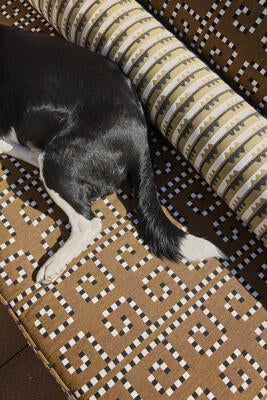 Key and Spindle Stripe