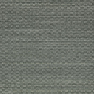 Tama wallcovering in Typhoon, MW155/05