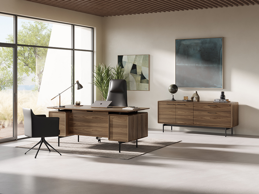 Mid-century modern Linq office collection with matching desk and storage credenza