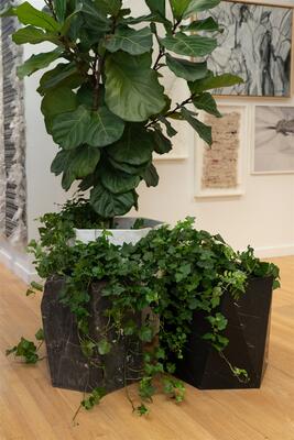 Scutoid planters from Rottet Collection 