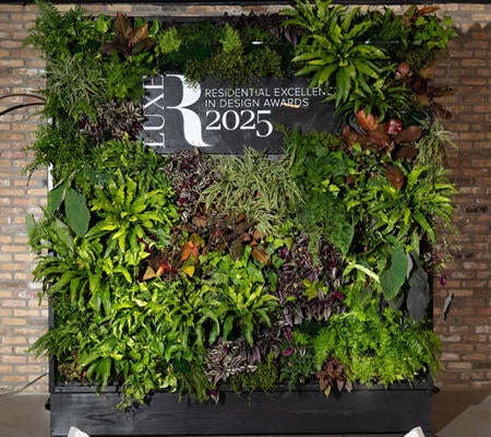 The lush photo backdrop and florals were provided by Mariani Landscape