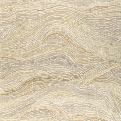 Featuring Swami in Fog