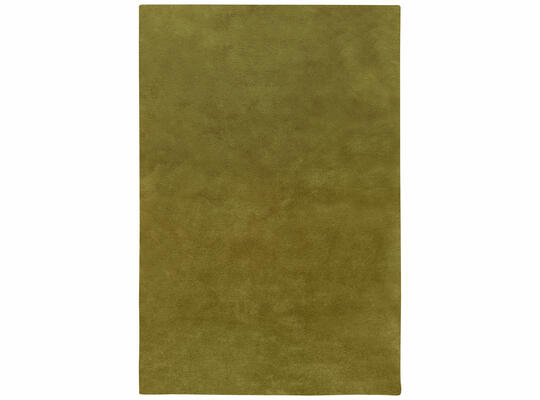 Chroma rug in Green Olive