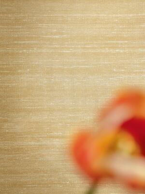 Elixir de Soies VP 928 13