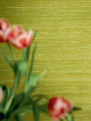 Elixir de Soies VP 928 63