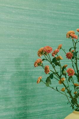 Elixir de Soies VP 928 43