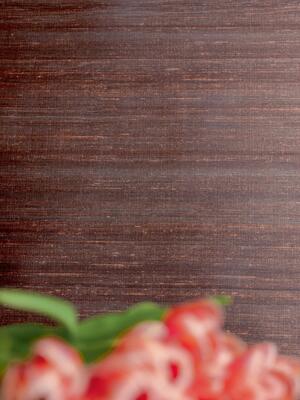 Elixir de Soies VP 928 82