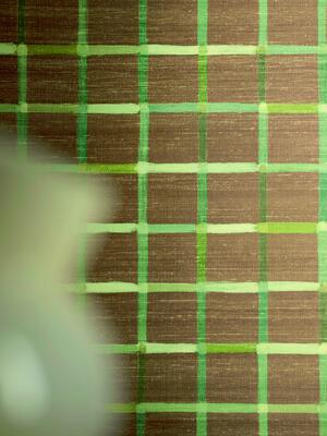 Elixir de Soies VP 1036