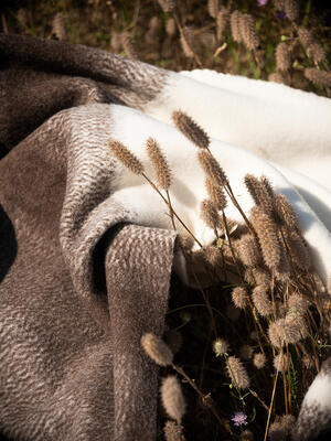 Luma x Élitis WO 131