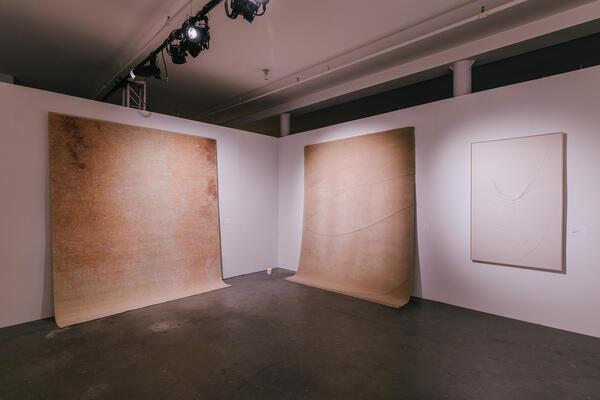 Armadillo presented its Gaia collection like a gallery exhibition